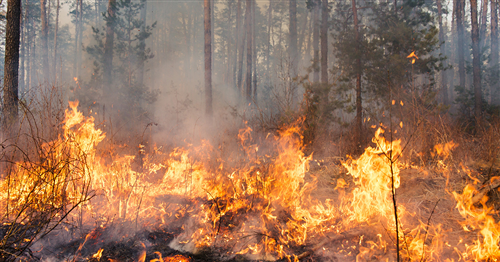 Stato di massimo pericolosità per incendi boschivi